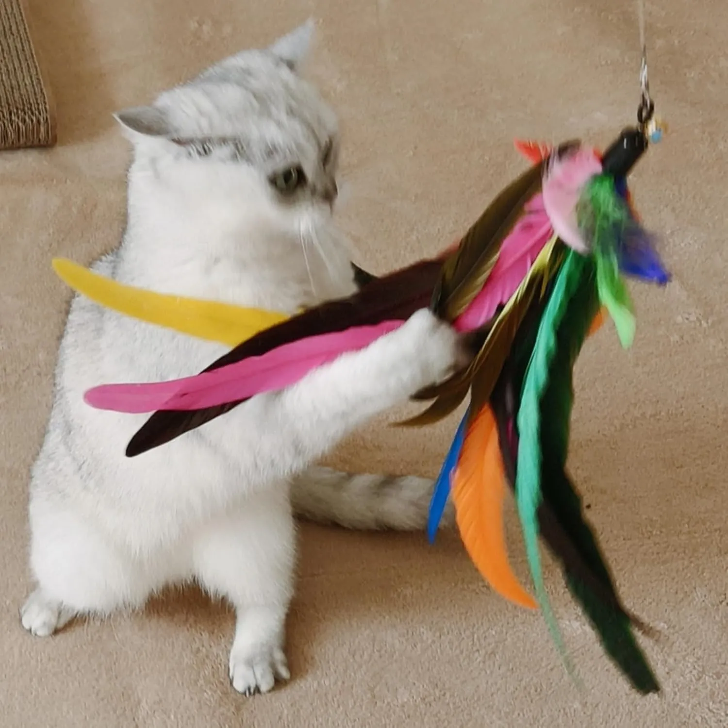 2PCS Ultra-Long Cat Teaser(50" 38") 9PCS Da Bird Feather Refills, Fishing Pole Toy,Interactive Toys -Retractable Cat Wand Toy and Feather Toys Refills Attachment Replacement for Indoor Cats