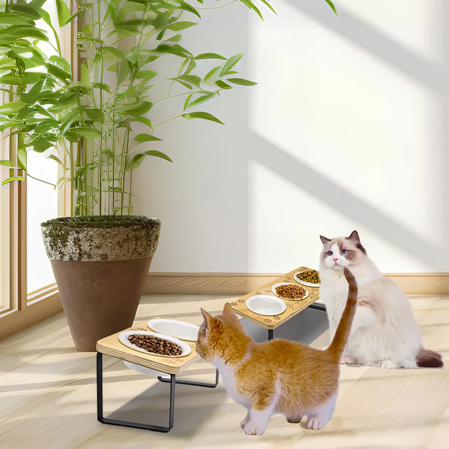3 Ceramic Elevated Cat Bowls 15 Tilted Raised Puppy Pet Food and Water Bowl Wood Body Stand Feeder with Pawprint Pattern, Cat Bowl Stand with Anti Slip Mat for Indoor Cats, Small Dog