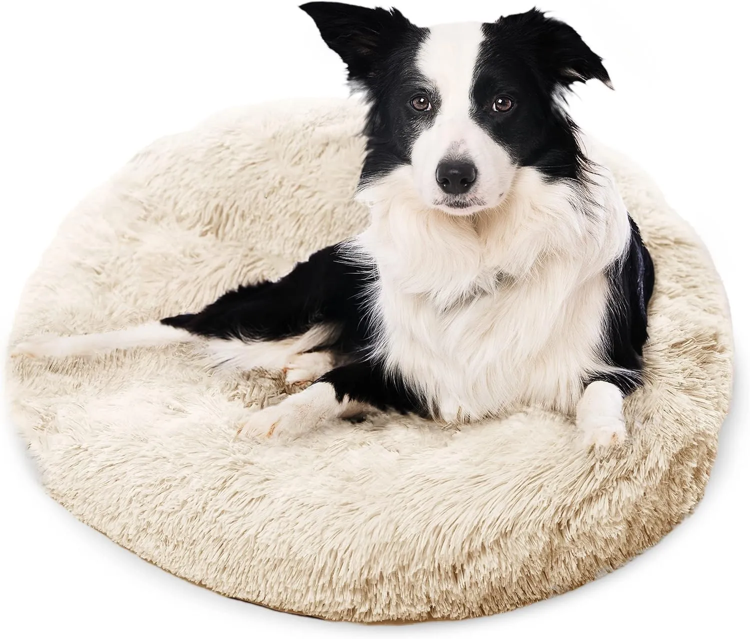 Active Pets Large Dog Bed, Calming Orthopedic Pet Bedding for Anxiety Relief, Joint Support & Comfort, Washable Dog Furniture, M 45lbs, Beige
