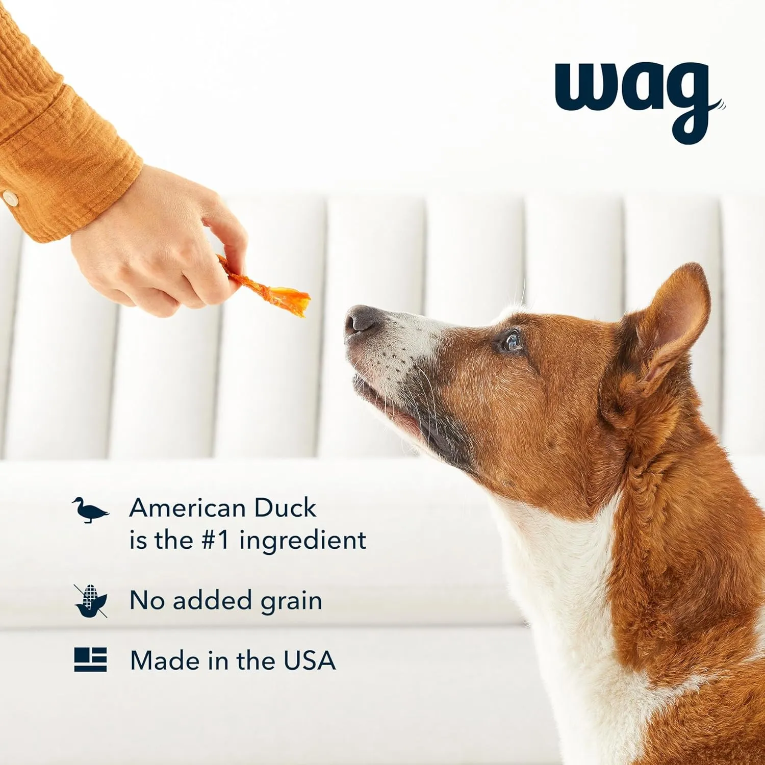Amazon Brand - Wag Soft & Tender American Jerky Dog Treats  Duck Bites, 16 Ounce (Pack of 1)