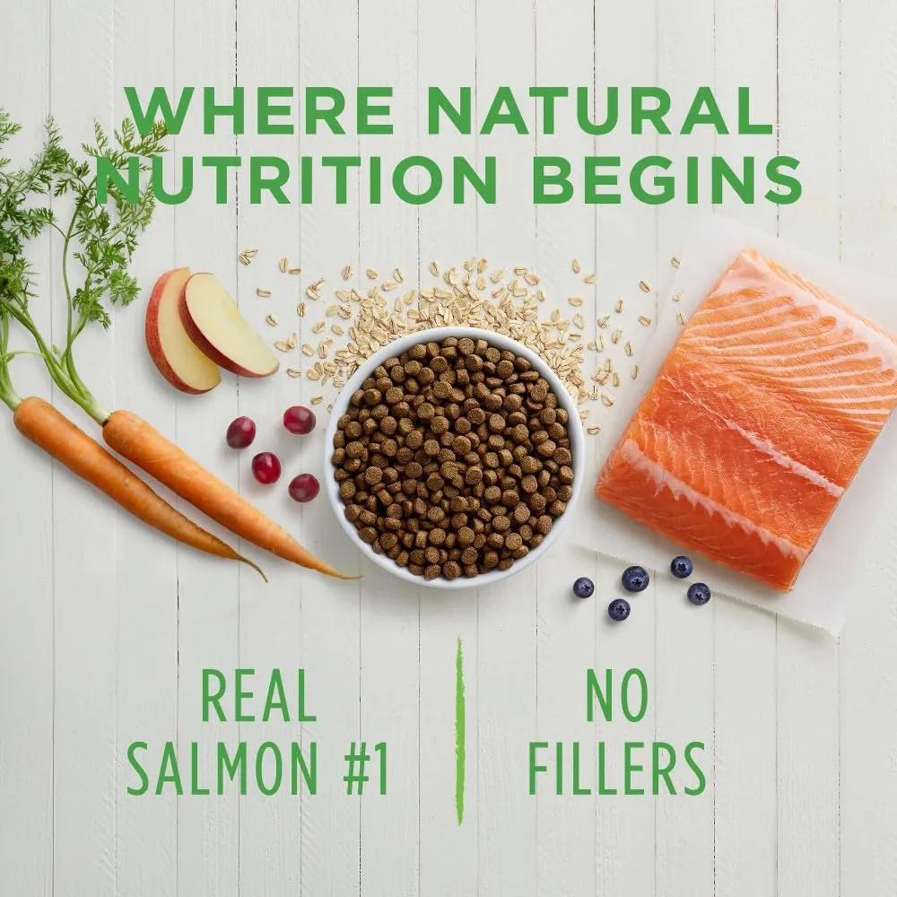 Be Natural Salmon & Brown Rice Dry Dog Food, 24 lb. Bag