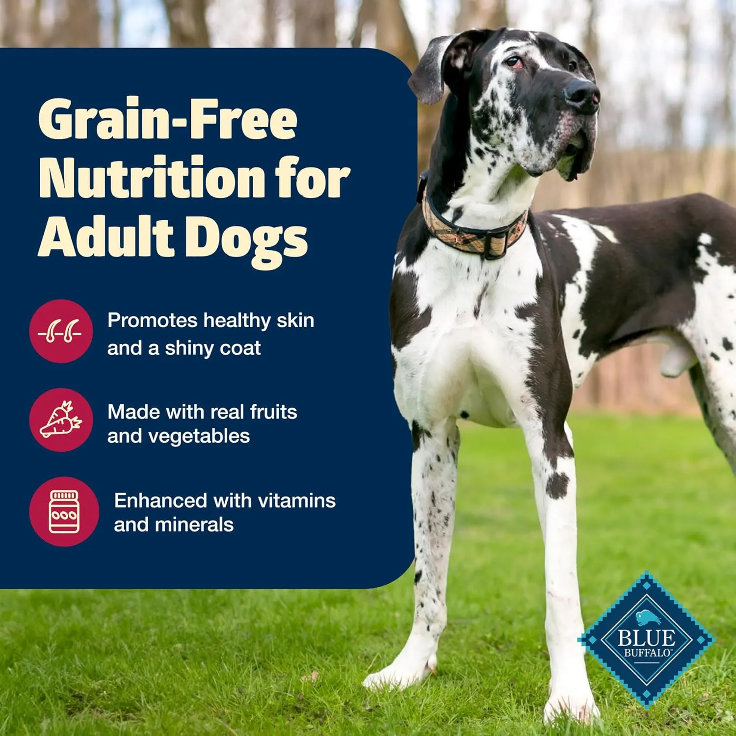 Blue Buffalo Freedom Grain-Free Dry Dog Food, Complete & Balanced Nutrition for Adult Dogs, Made in the USA With Natural Ingredients, Beef & Potatoes, 11-lb Bag