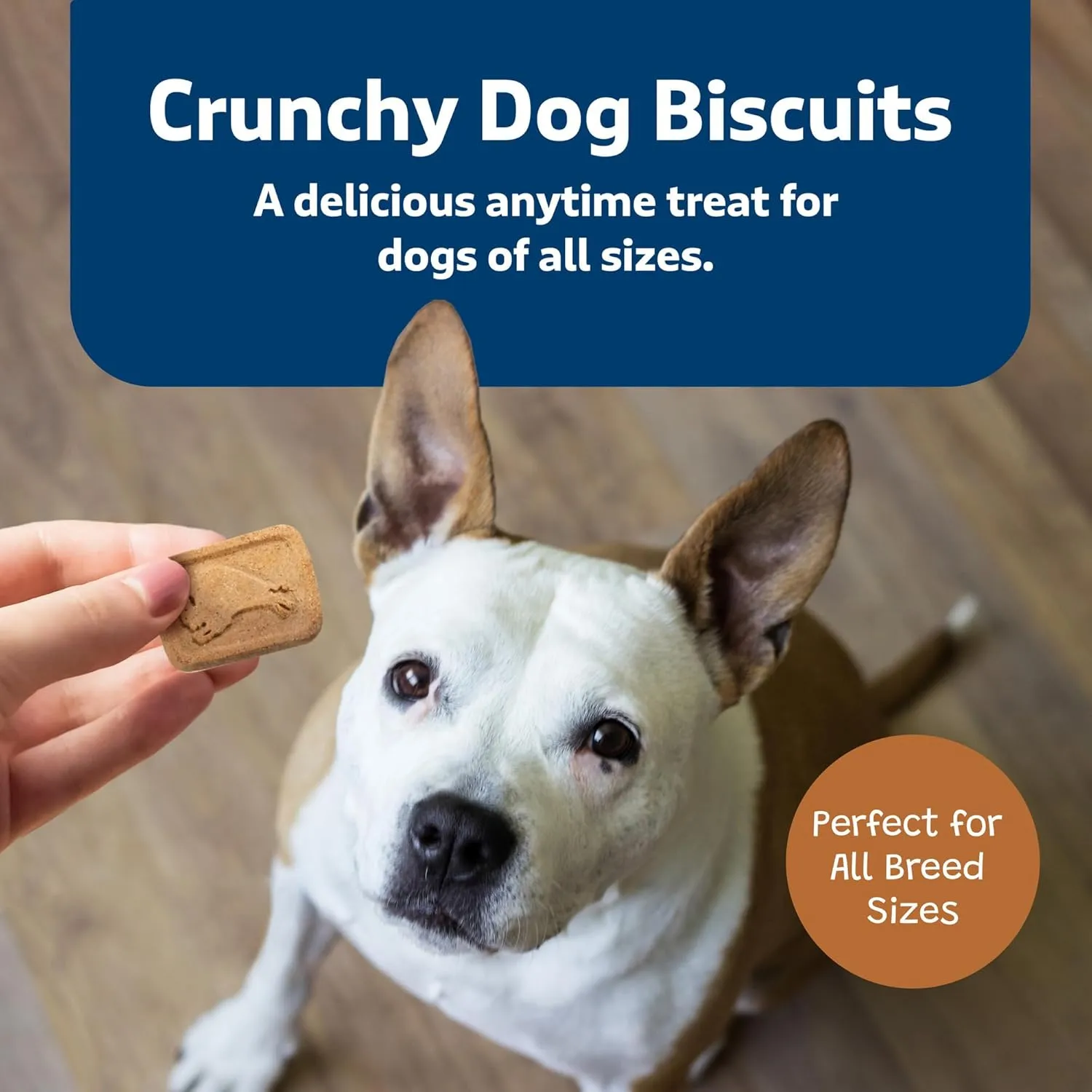 Blue Buffalo Health Bars Crunchy Dog Biscuits, Oven-Baked With Natural Ingredients, Pumpkin & Cinnamon, 16-oz Bag