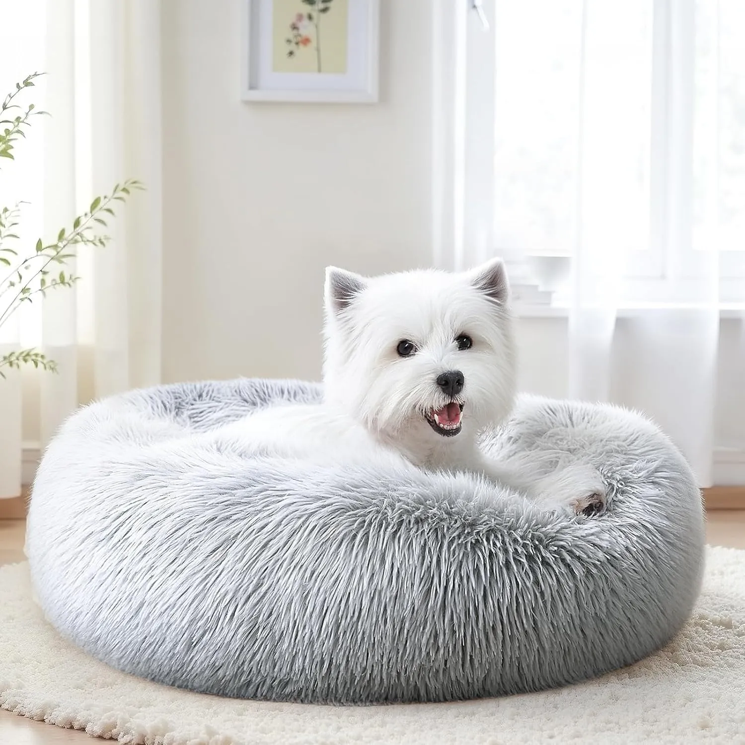 Calming Dog Bed & Cat Bed for Indoor Cats, Medium Size Washable Anti-Slip Anti-Anxiety Donut Dog Beds for Small Dogs & Cats, Fluffy Plush Cozy Round Dog Bed(20 Inch, Light Grey)