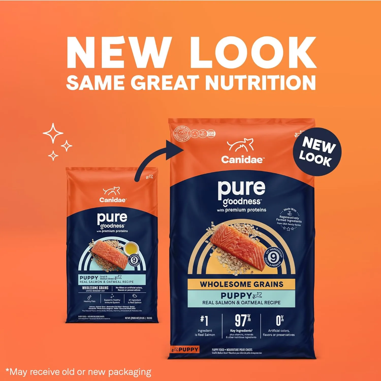 CANIDAE Pure Limited Ingredient Premium Puppy Dry Dog Food, Real Salmon & Oatmeal Recipe, 22 lbs, with Wholesome Grains