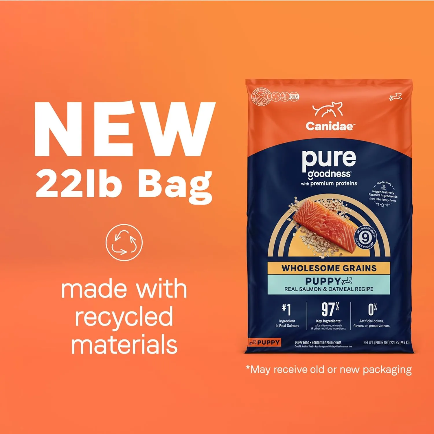 CANIDAE Pure Limited Ingredient Premium Puppy Dry Dog Food, Real Salmon & Oatmeal Recipe, 22 lbs, with Wholesome Grains