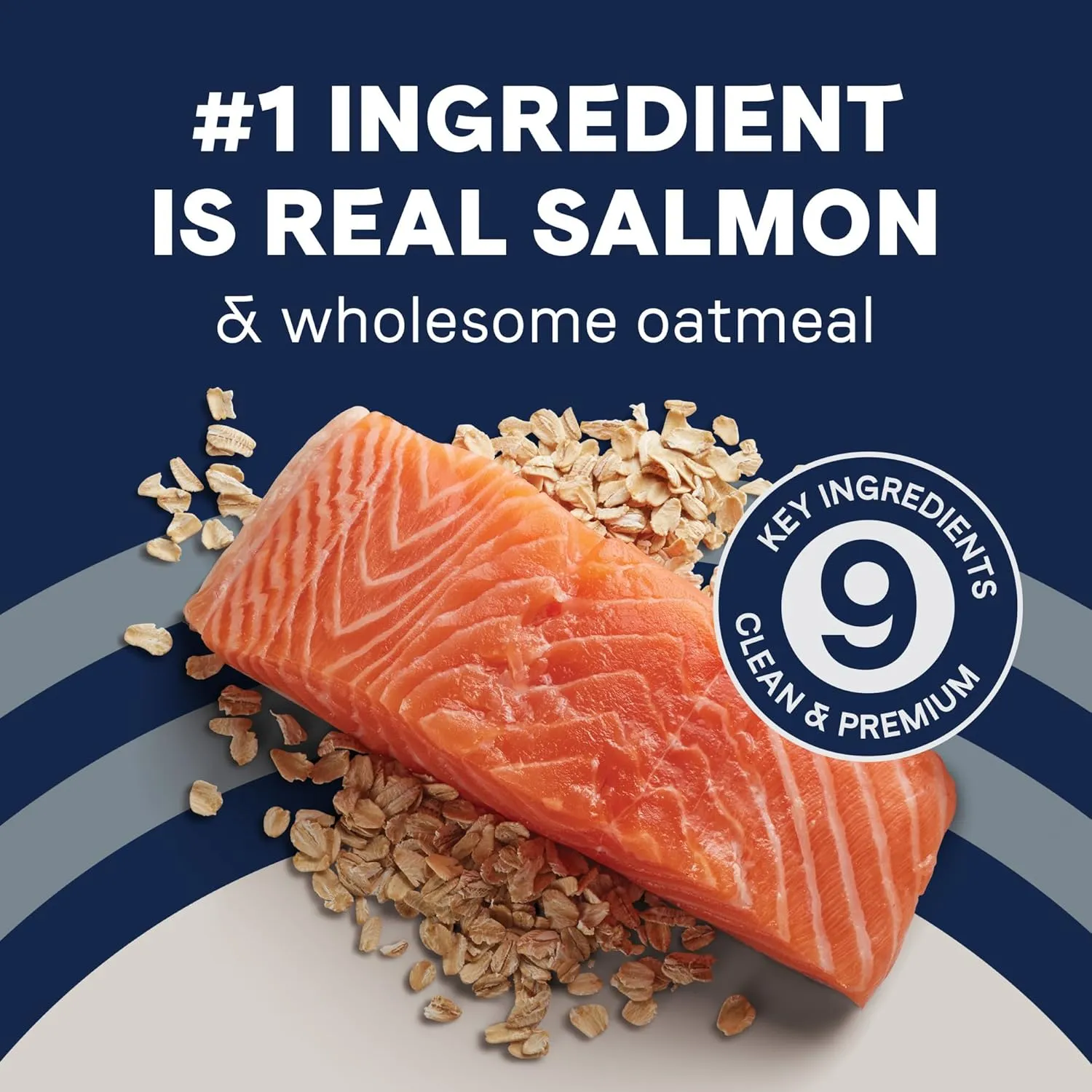 CANIDAE Pure Limited Ingredient Premium Puppy Dry Dog Food, Real Salmon & Oatmeal Recipe, 22 lbs, with Wholesome Grains