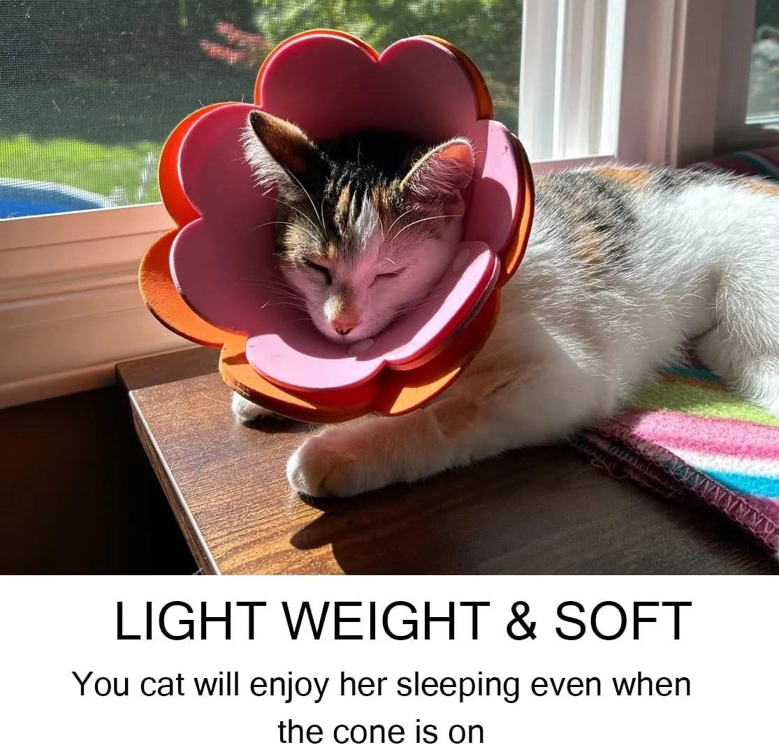 Cat Cone Collar Soft 4 Pcs Cat Recovery Collar Stop Licking Kitten Cone E Collar Adjustable Elizabethan Surgery Collar After Surgery (Mutli Color, L)