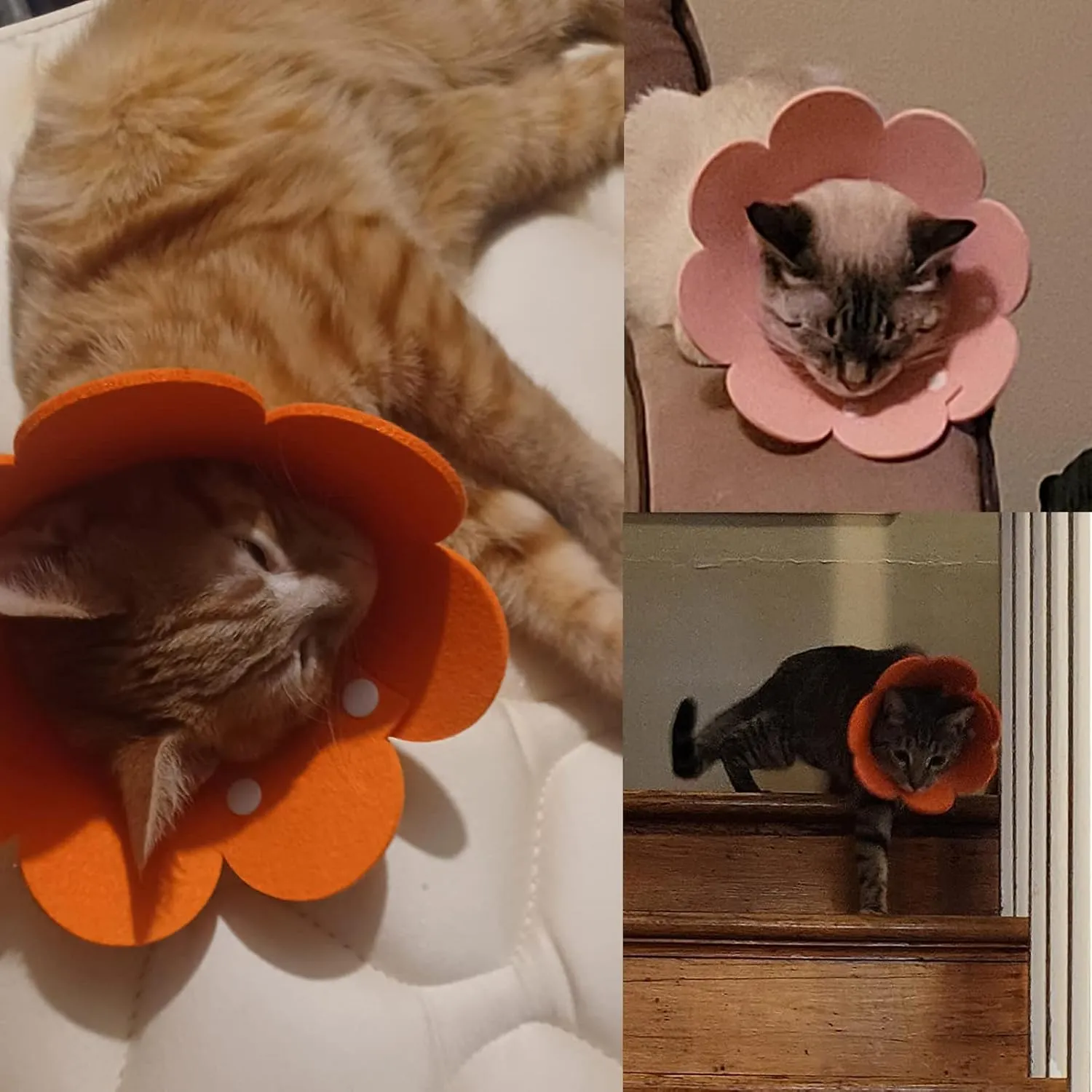 Cat Cone Collar Soft 4 Pcs Cat Recovery Collar Stop Licking Kitten Cone E Collar Adjustable Elizabethan Surgery Collar After Surgery (Mutli Color, L)