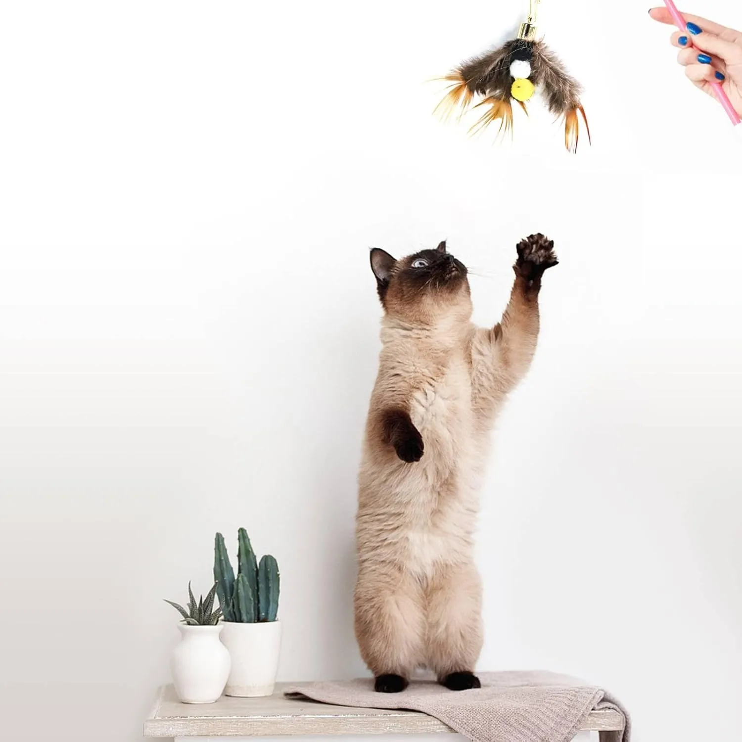 Cat Insect Feather Toys Replacement Cat Toy Wand Refills, 6 Pieces Natural Insect Cat Toy Feathers Refill, Interactive Cat Teaser Wand Attachments, with Bell