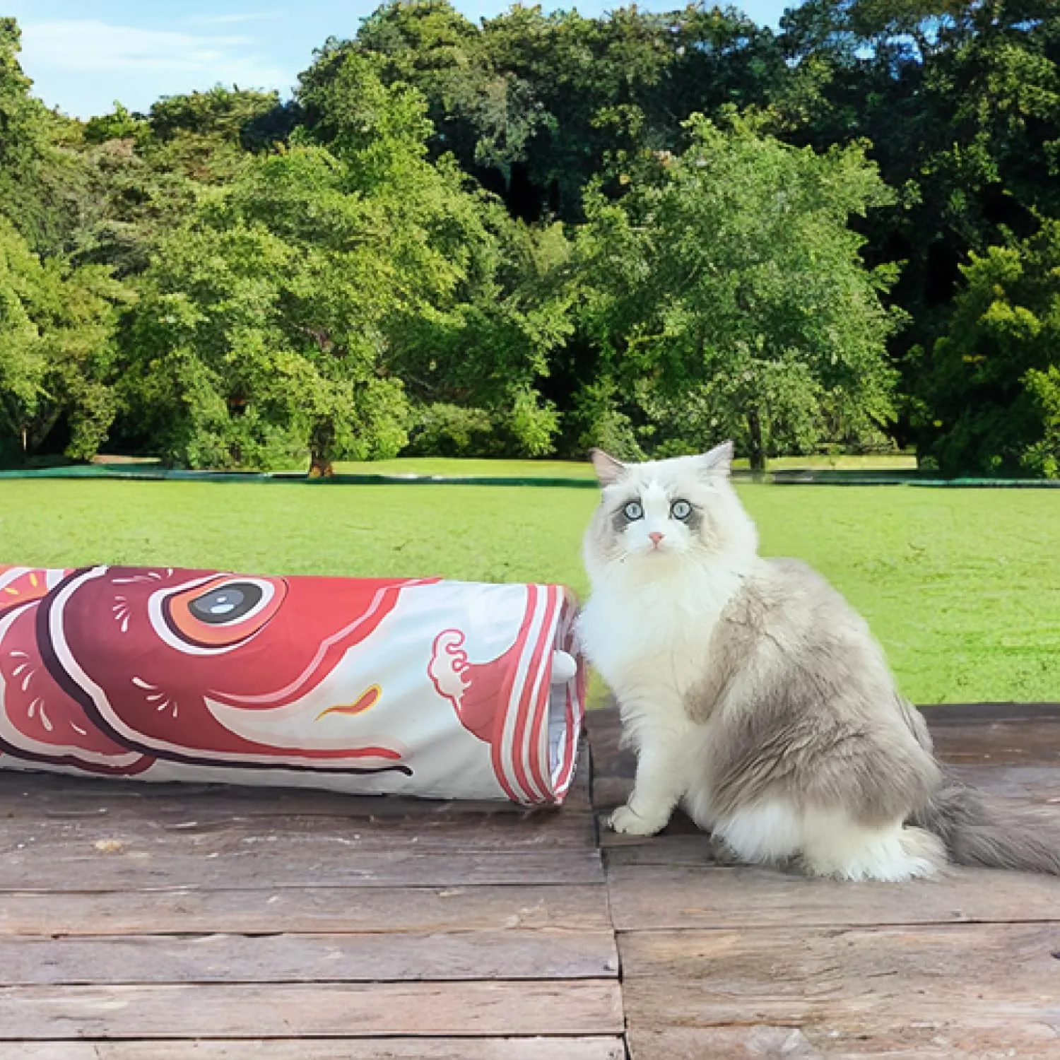 Cat Tunnel with Fish Design, Plush Toy Ball, Easy to Clean, Collapsible, Hide & Seek Play, Self-Entertainment Toy (Radiant Red, S (17.72 x 9.84 inch))