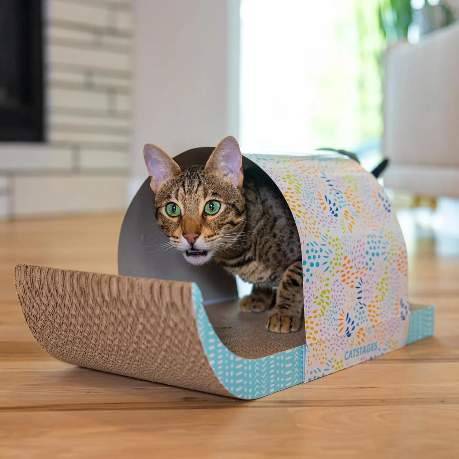 Catstages Cat Tunnel Scratcher with Feather Spring Toy and Removable Tunnel, Mlt