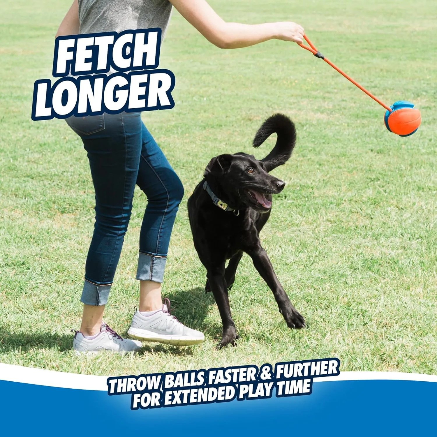 Chuckit! Rope Fetch Dog Toy - Ball on Rope Fetch and Tug-of-War Toy for Dogs - Durable EVA Rubber Construction - 5.5-inch Diameter - 18-inch Rope - Orange and Blue