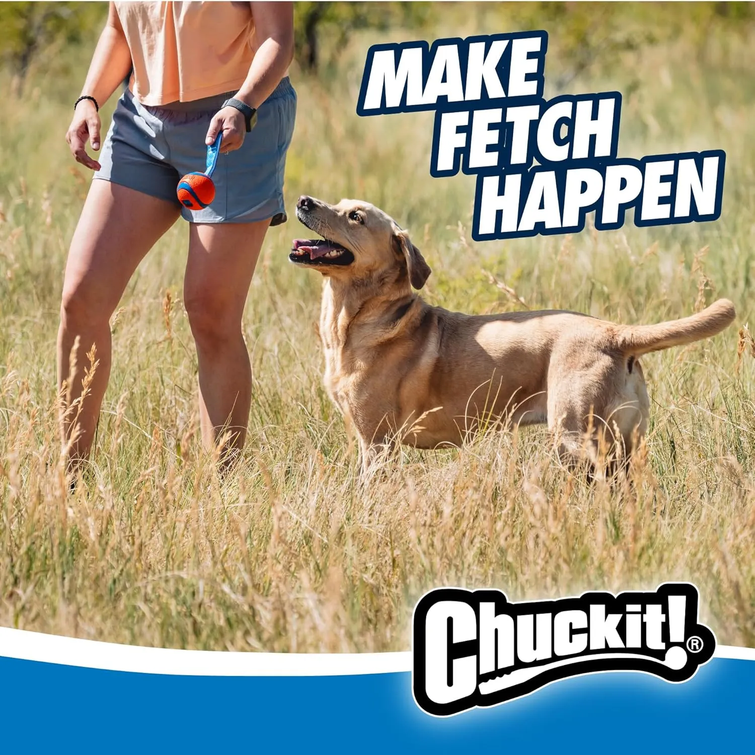 Chuckit! Ultra Tug Dog Toy, Medium Fetch and Dog Ball Tug Toy for Dogs 20-60 Pounds