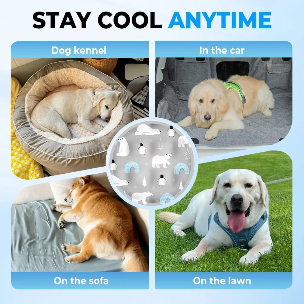 Cooling Mat for Cats, 2025 New Pet Water Bed Pets Cooling Mats Pet Cat Water Bed Play Mat, Cool Comfort Water Sensory Playmat for Cats Dogs & Kids Waters Mats (Silver, 13.8 * 13.8)
