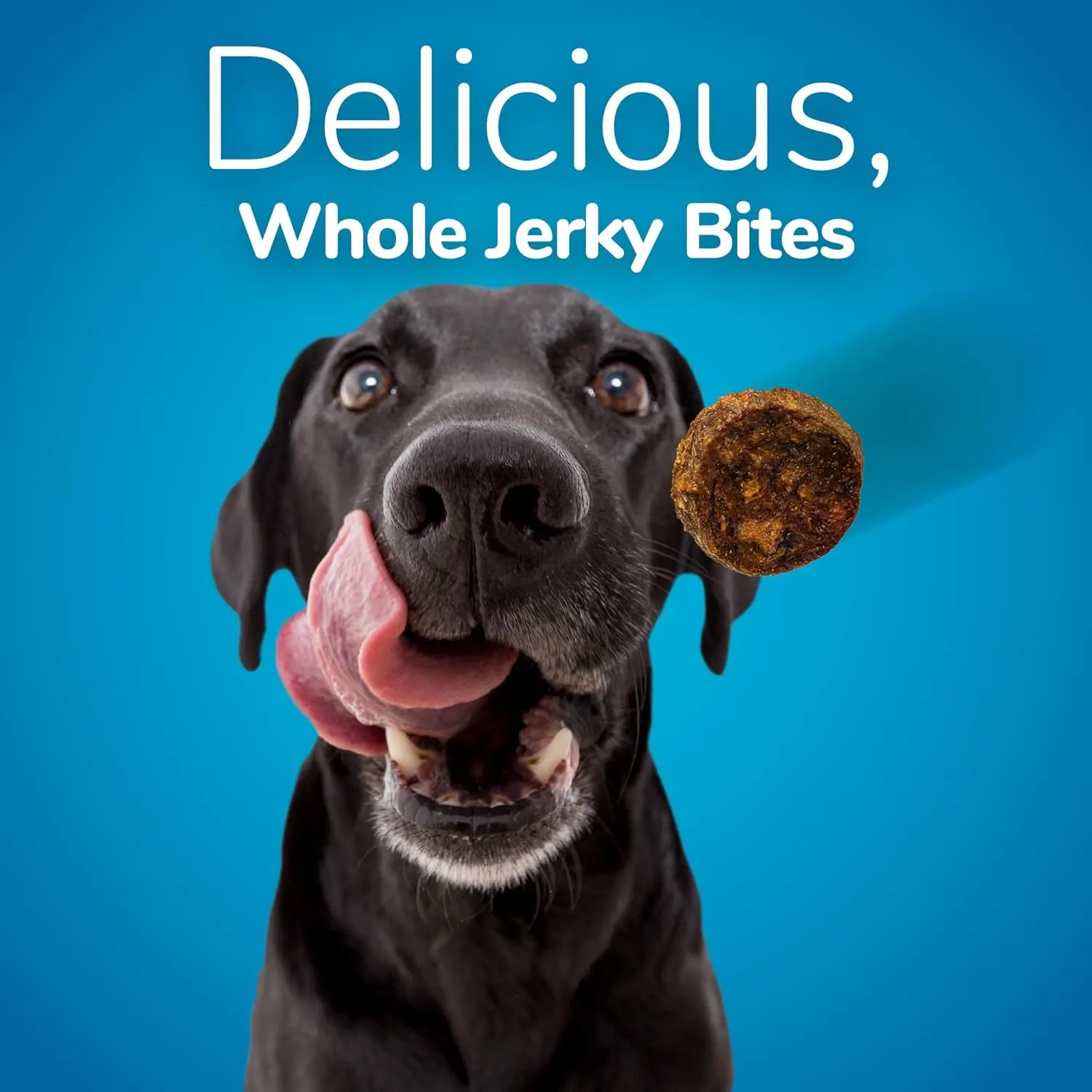 Fruitables Small Dog Treats  Whole Jerky Bites  Healthy Treats  Turkey & Sweet Potato Flavor  5 Ounces