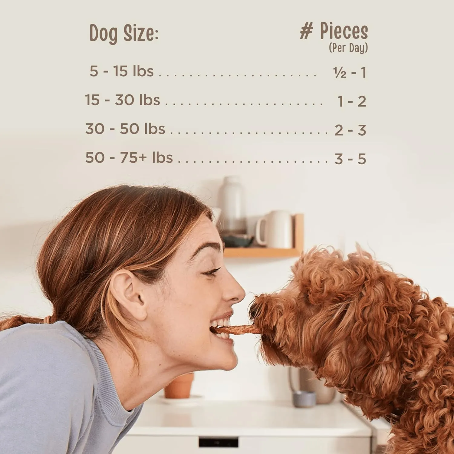 Full Moon Chicken Jerky Tenders Healthy All Natural Dog Treats Human Grade Made in USA 26 oz (Pack of 2)