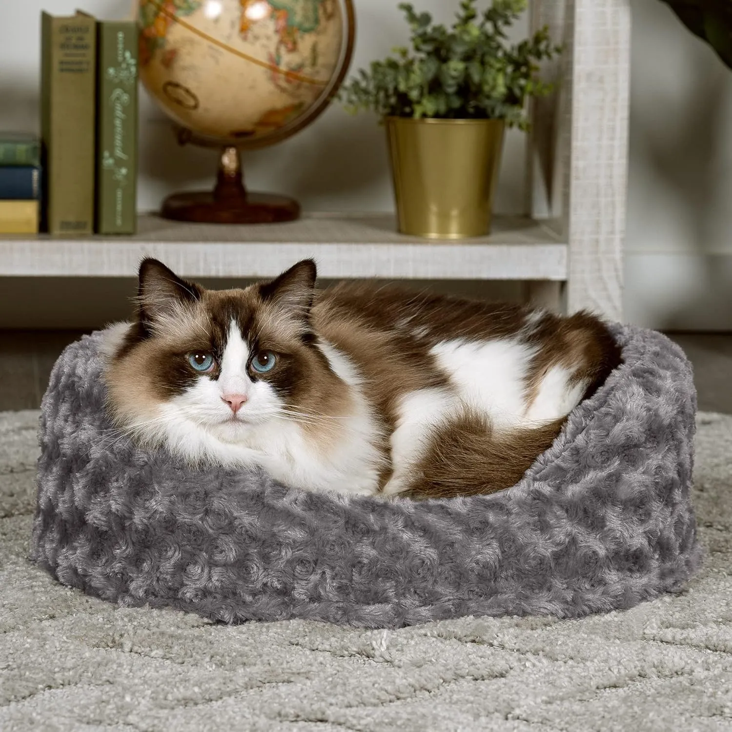 Furhaven Dog Bed for Small Dogs w/ Removable Washable Cover & Pillow Cushion Insert, For Dogs Up to 12 lbs - Ultra Plush Faux Fur Oval Lounger - Gray, Small