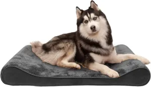 Furhaven Memory Foam Dog Bed for Large Dogs w/ Removable Washable Cover, For Dogs Up to 75 lbs - Minky Plush & Velvet Luxe Lounger Contour Mattress - Gray, Jumbo/XL