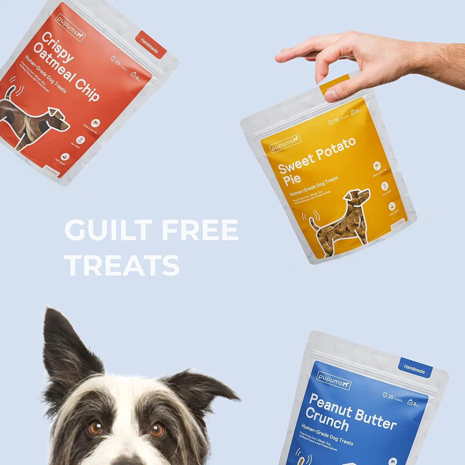 Healthy Dog Treats Non-GMO Grain Free Human Grade Crispy Oatmeal Chip Made in USA (8oz)