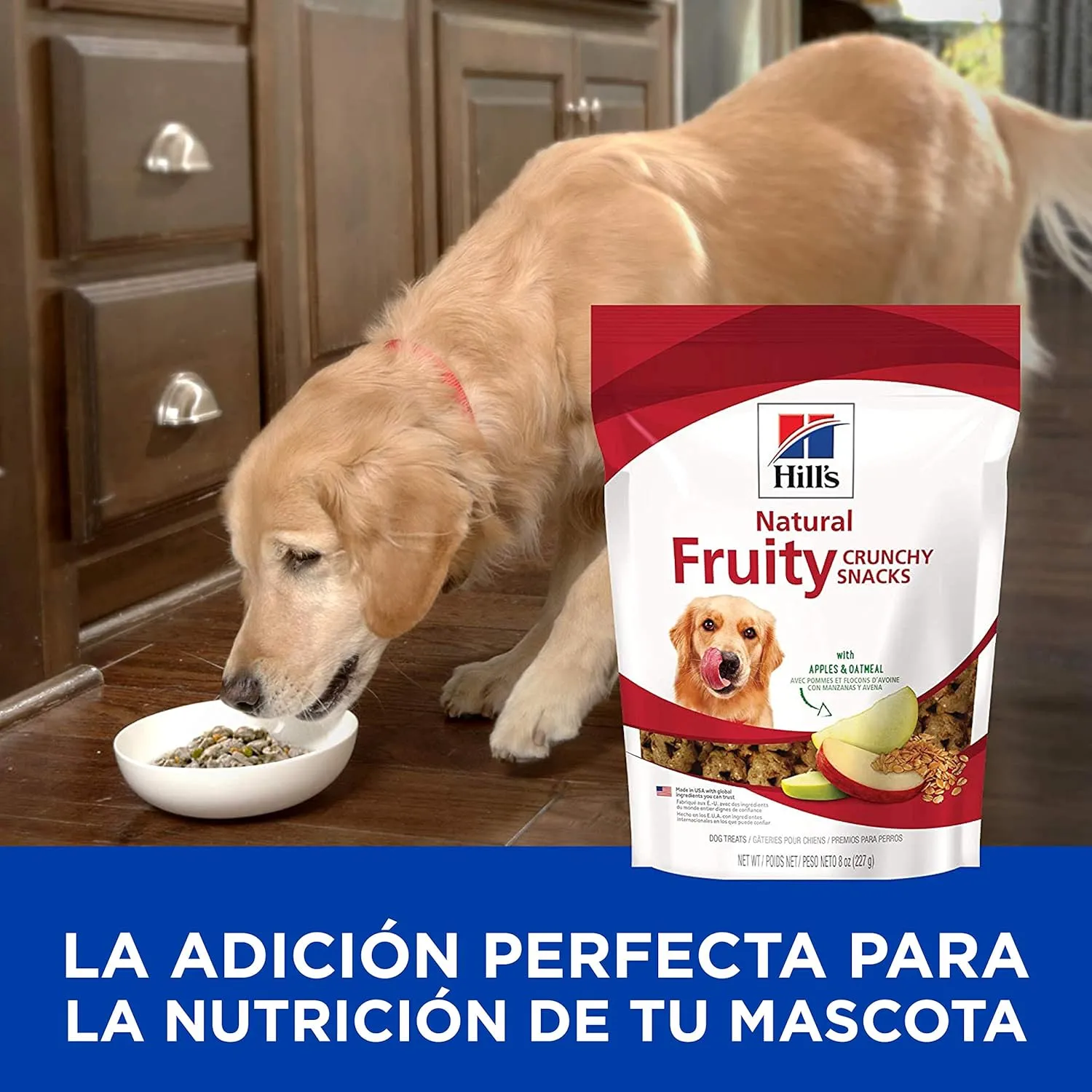 Hill's Natural Fruity Crunchy Snacks, All Life Stages, Great Taste, Dog Treats, Apples & Oatmeal , 8 oz Bag