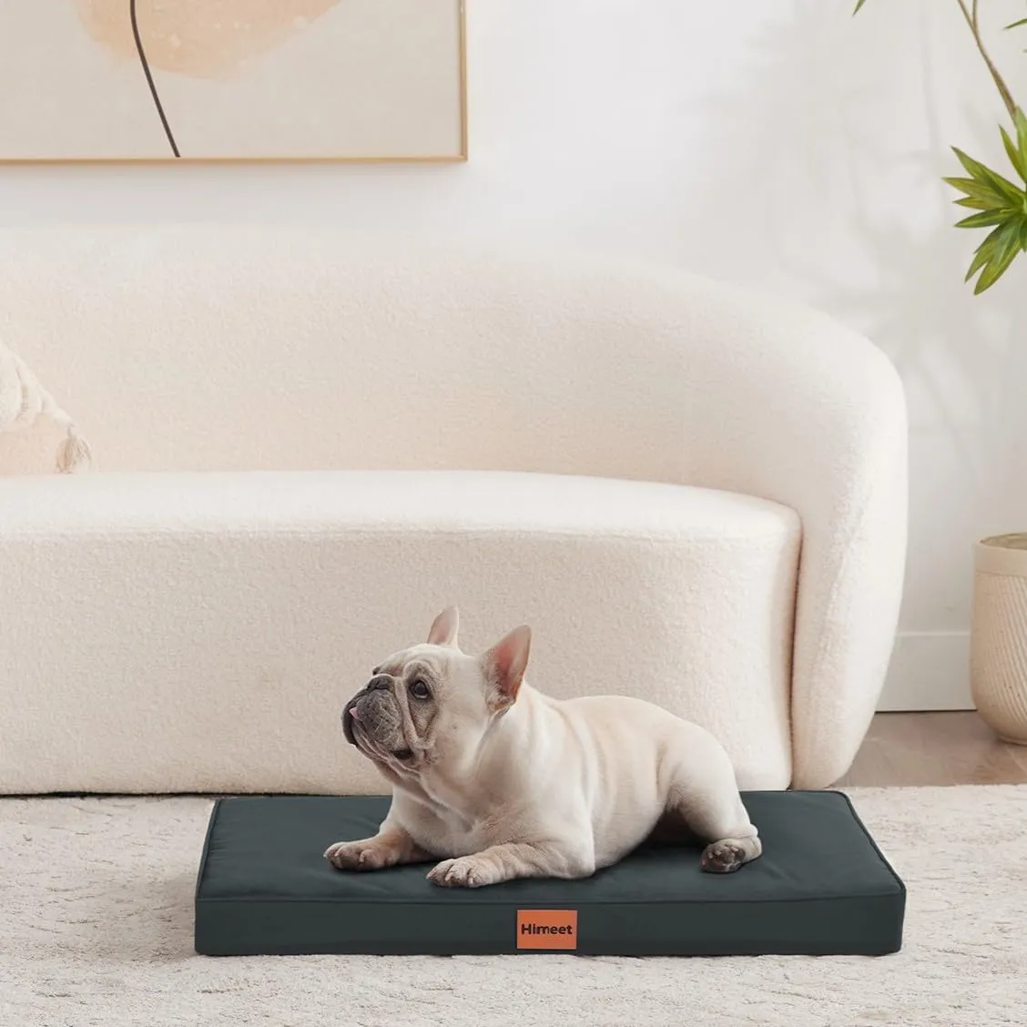 HIMEET- Outdoor Small Dog Bed for Crate 24 Inch Waterproof Washable with Removable Cover and Plastic Liner Soft Orthopedic Small Puppy Crate Liner for Kennel Little Pet Beds for Dogs up to 15lbs(Grey)