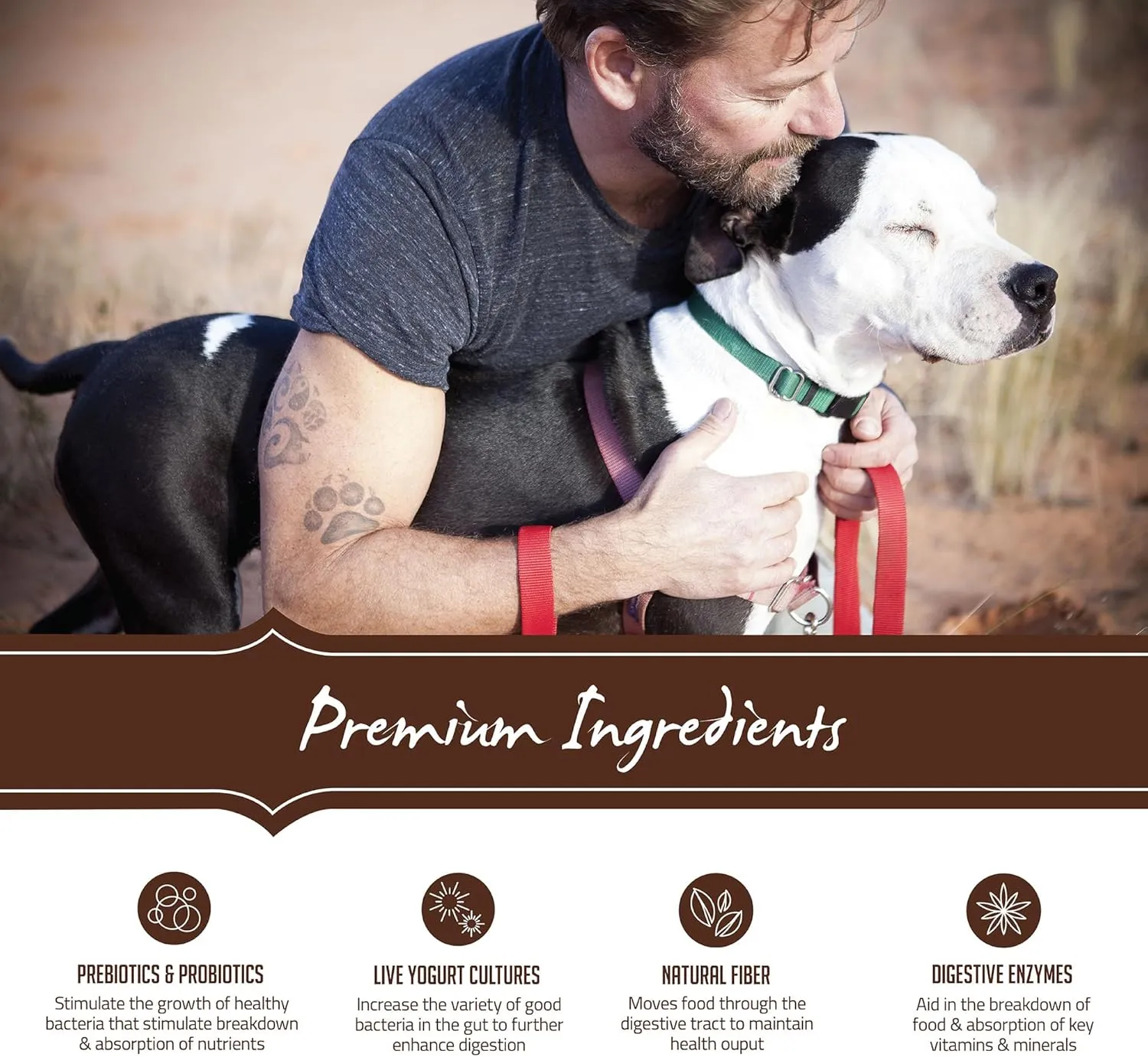 Holistic Select Natural Grain Free Dry Dog Food, Deboned Turkey & Lentils Recipe, 24-Pound Bag