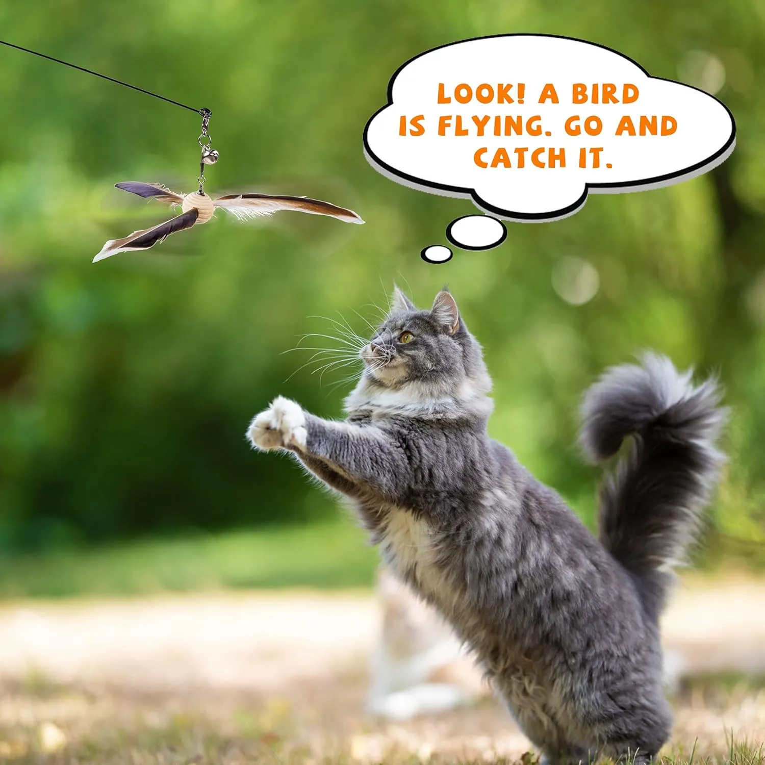 JXFUKAL Cat Wand Toys, Interactive Cat Teaser with 3 Feather Refills, 29'' Flexible Steel Wire, Sturdy Wood Handle & Bell for Indoor Kitty Kitten