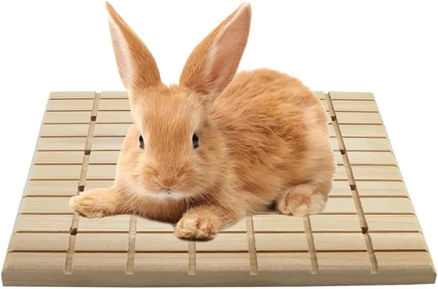 Litewoo Rabbit Scratch Board Claws and Teeth Care Wooden Chew Toys Bunny Chinchilla Guinea Pig Rabbit Antiskid Edible Natural Wood Pad