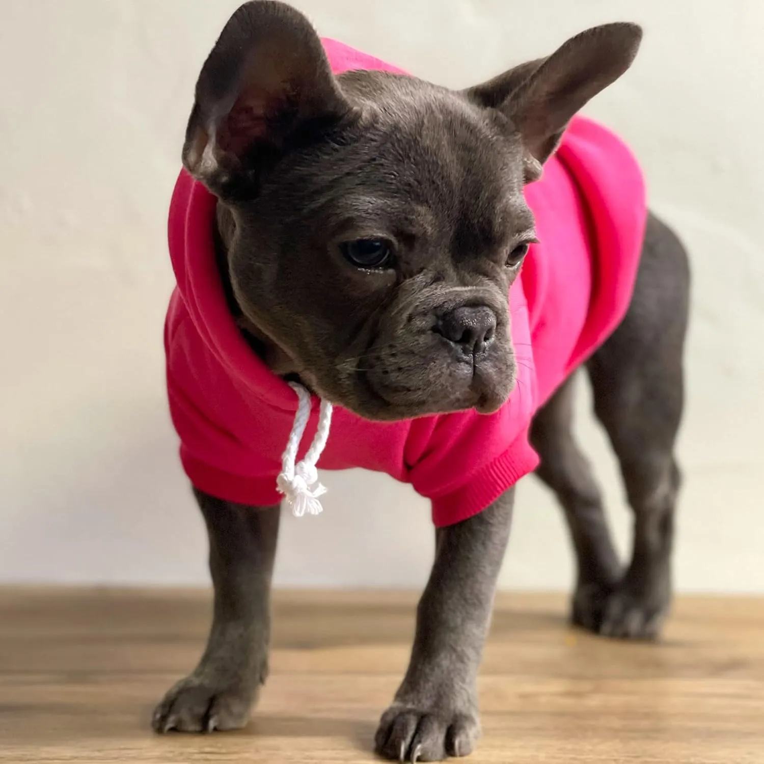 Love My Grandma Mother's Day, Valentine's Day Dog Hoodie Fleece Lined Pullover Sweatshirt with Leash Hole (Hot Pink, X-Large 399)