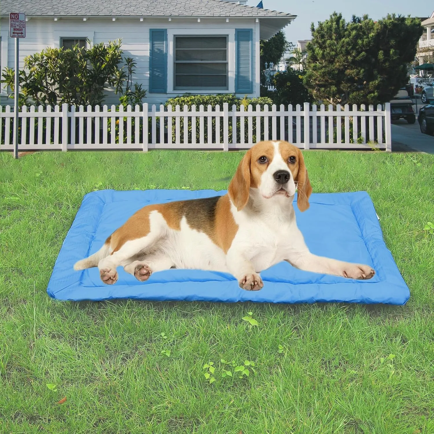 LUCKITTY Portable Camping Dog Bed Outdoor Travel Waterproof Mat for Medium and Large Dogs Waterproof Washable Pad, Blue