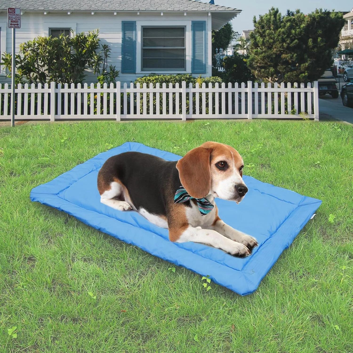 LUCKITTY Portable Camping Dog Bed Outdoor Travel Waterproof Mat for Medium and Large Dogs Waterproof Washable Pad, Blue