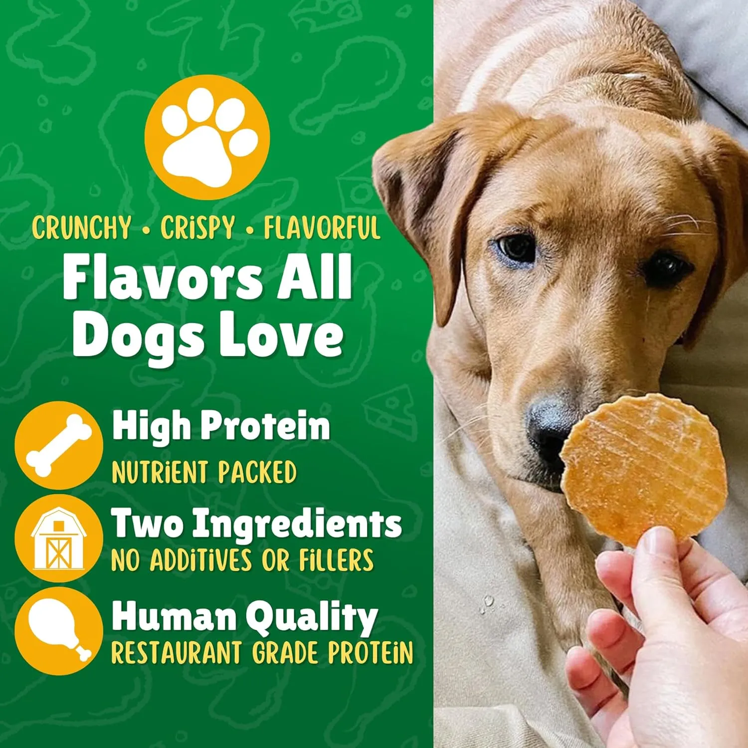 Lucky Premium Treats Chicken & Sweet Potato Lucky Chips for Dogs  Healthy Chicken Dog Treats Made in USA  2 Ingredient Chicken Jerky Dog Treats  12 oz Bag
