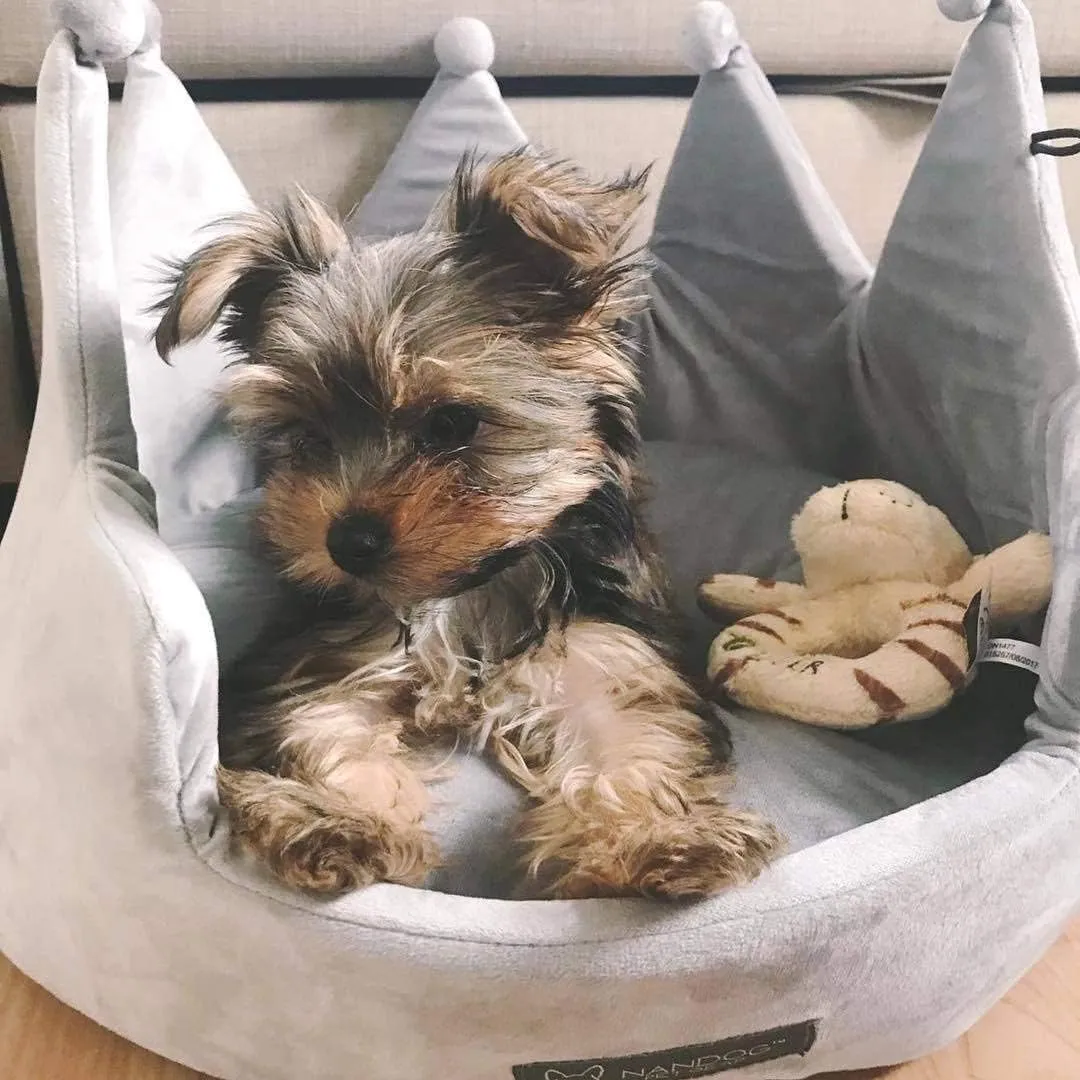NANDOG Crown Cozy Round Bed in Gray - Ultra Soft Micro Plush Fabric - Washable, Crate-Compatible & Perfect for Small Dogs & Cats to Lounge in Comfort