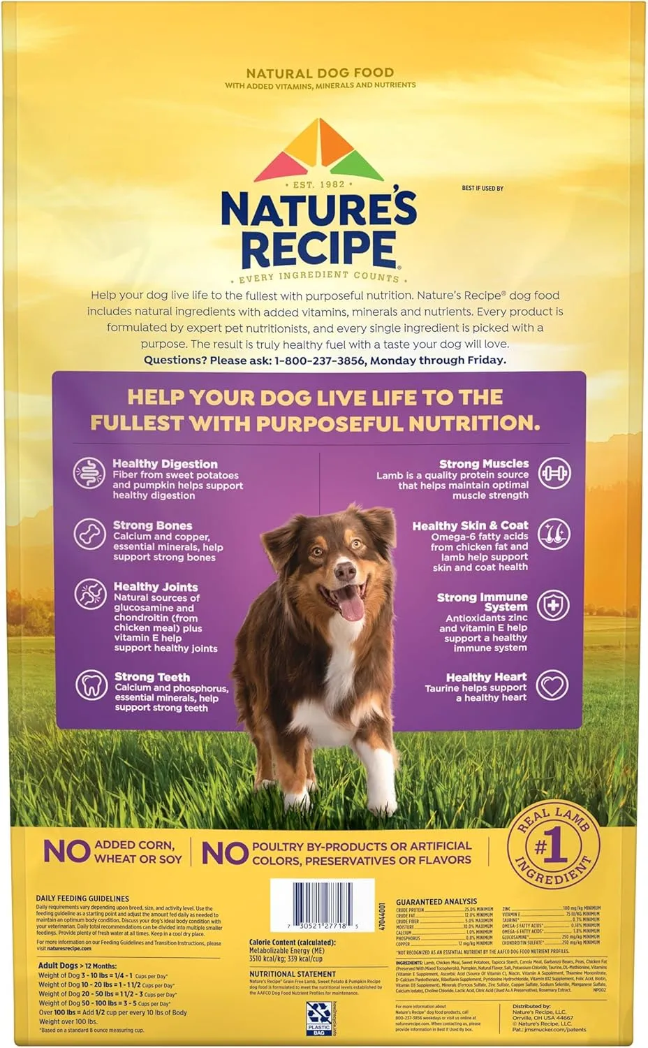 Natures Recipe Grain Free Lamb, Sweet Potato & Pumpkin Recipe Dry Dog Food, 24 lb. Bag