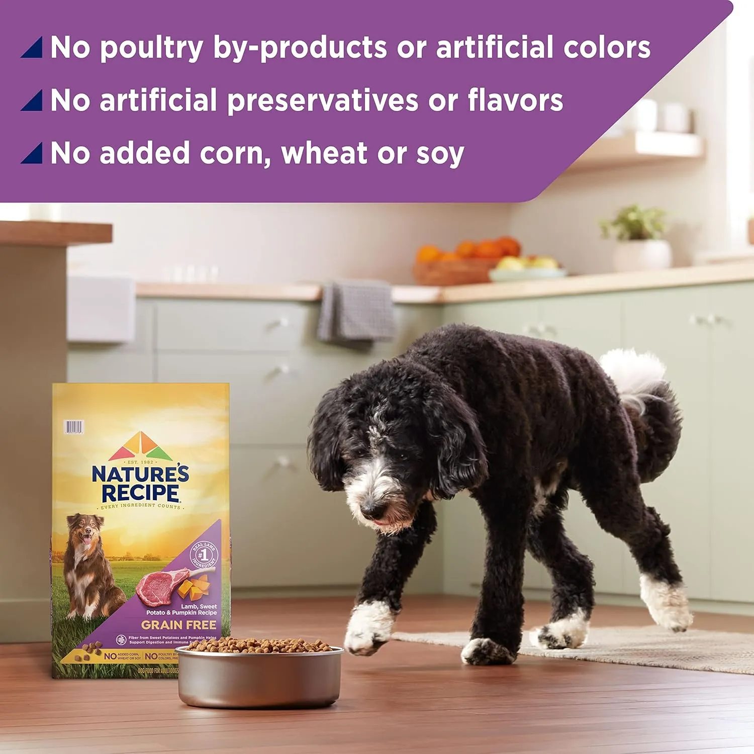 Natures Recipe Grain Free Lamb, Sweet Potato & Pumpkin Recipe Dry Dog Food, 24 lb. Bag
