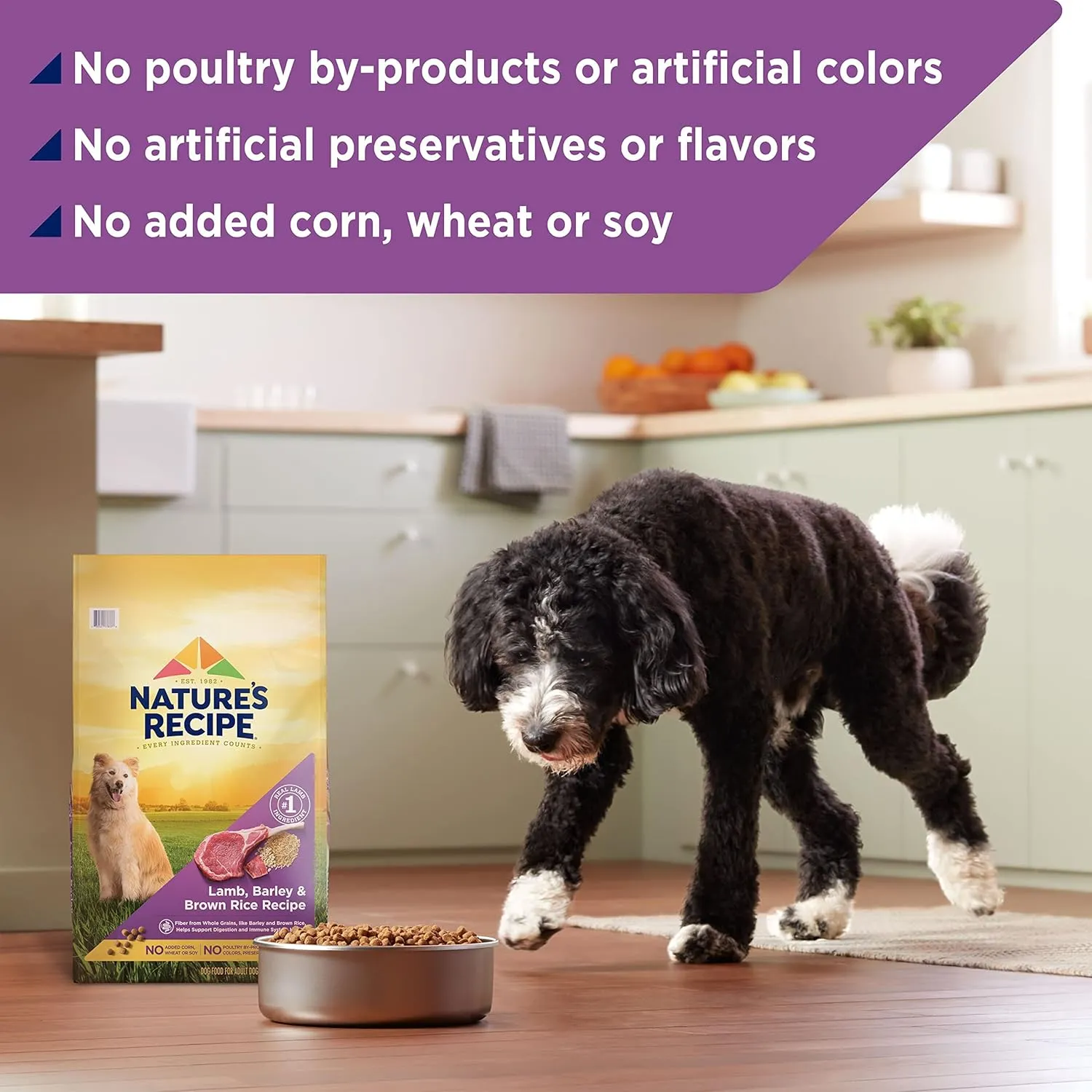 Natures Recipe Lamb, Barley & Brown Rice Recipe Dry Dog Food, 24 lb. Bag