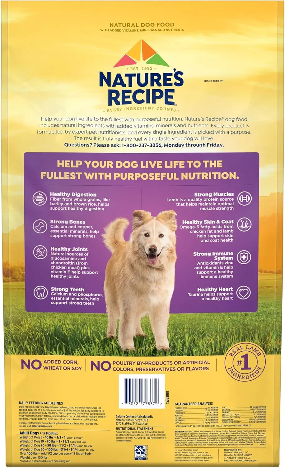 Natures Recipe Lamb, Barley & Brown Rice Recipe Dry Dog Food, 24 lb. Bag