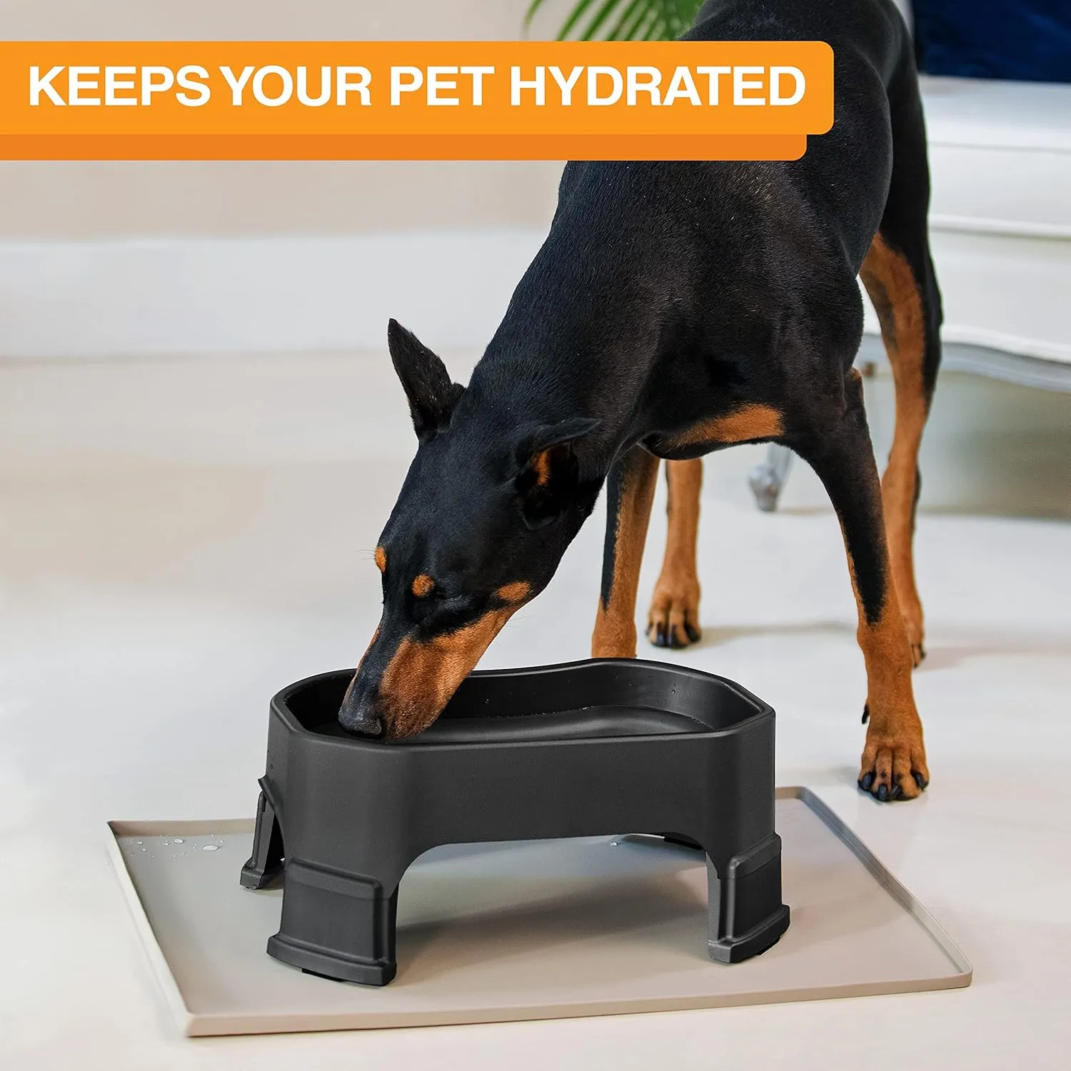 Neater Pet Brands Big Bowl with Leg Extensions Huge Jumbo Trough Style Dog Pet Water Dish (1.25 Gallons, Midnight Black)
