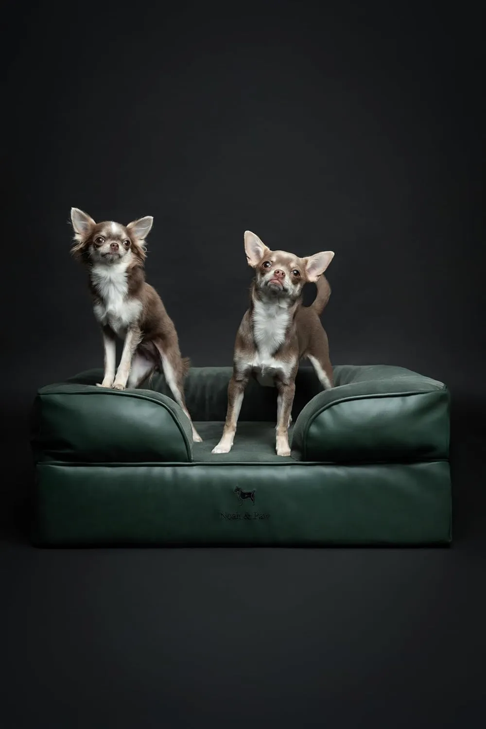 NOAH & PAW Dog Bed, 28x23x11 Inch, Orthopedic Dog Beds for Medium Size Pets, Eggshell Memory Foam Infused with Cooling Gel, Inner Cover, Waterproof, Machine Washable (Faux Leather Sofa Collection)