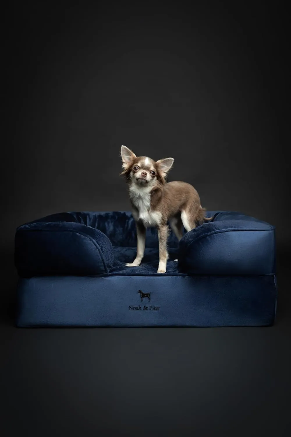 NOAH & PAW Dog Bed, 28x23x11 Inch, Orthopedic Dog Beds for Medium Size Pets, Eggshell Memory Foam Infused with Cooling Gel, Inner Cover, Waterproof, Machine Washable (Velvet Sofa Collection)