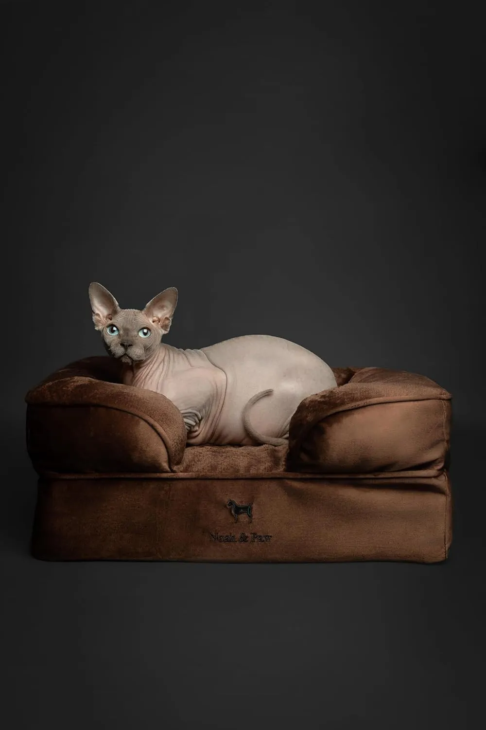 NOAH & PAW Small Dog Bed, 20x15x8 Inch, Cat Bed for Indoor Cats, Orthopedic Eggshell Memory Foam Infused with Cooling Gel, Waterproof Inner Cover Machine Washable (Velvet Collection)