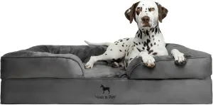 NOAH & PAW XL Dog Bed, 45x35x11 Inch, Orthopedic Large Dog Beds, Eggshell Memory Foam Infused with Cooling Gel, Inner Cover, Waterproof, Machine Washable (Velvet Sofa Collection)