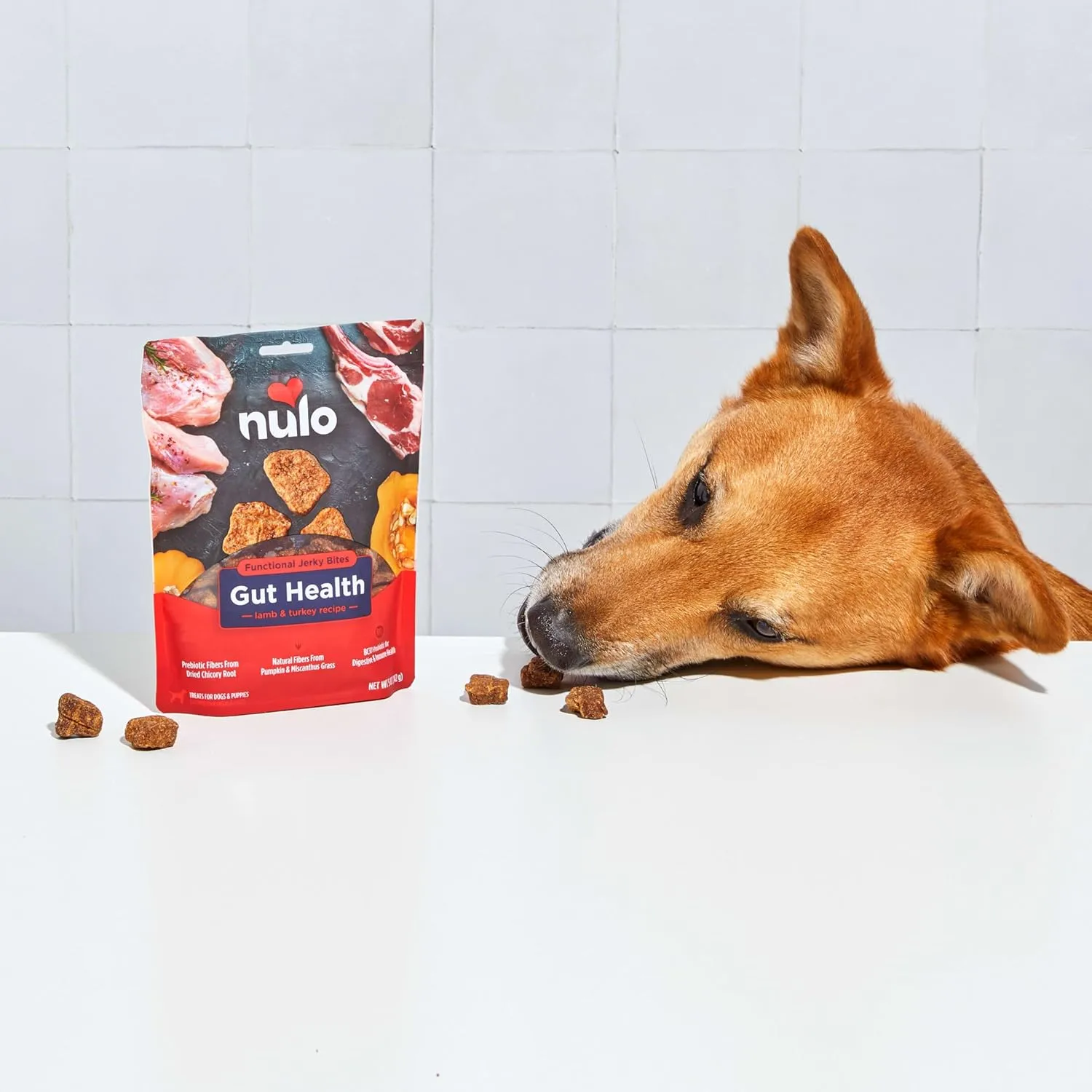 Nulo Functional Jerky Gut Health Lamb & Turkey Dog Treats 5 OZ Bag