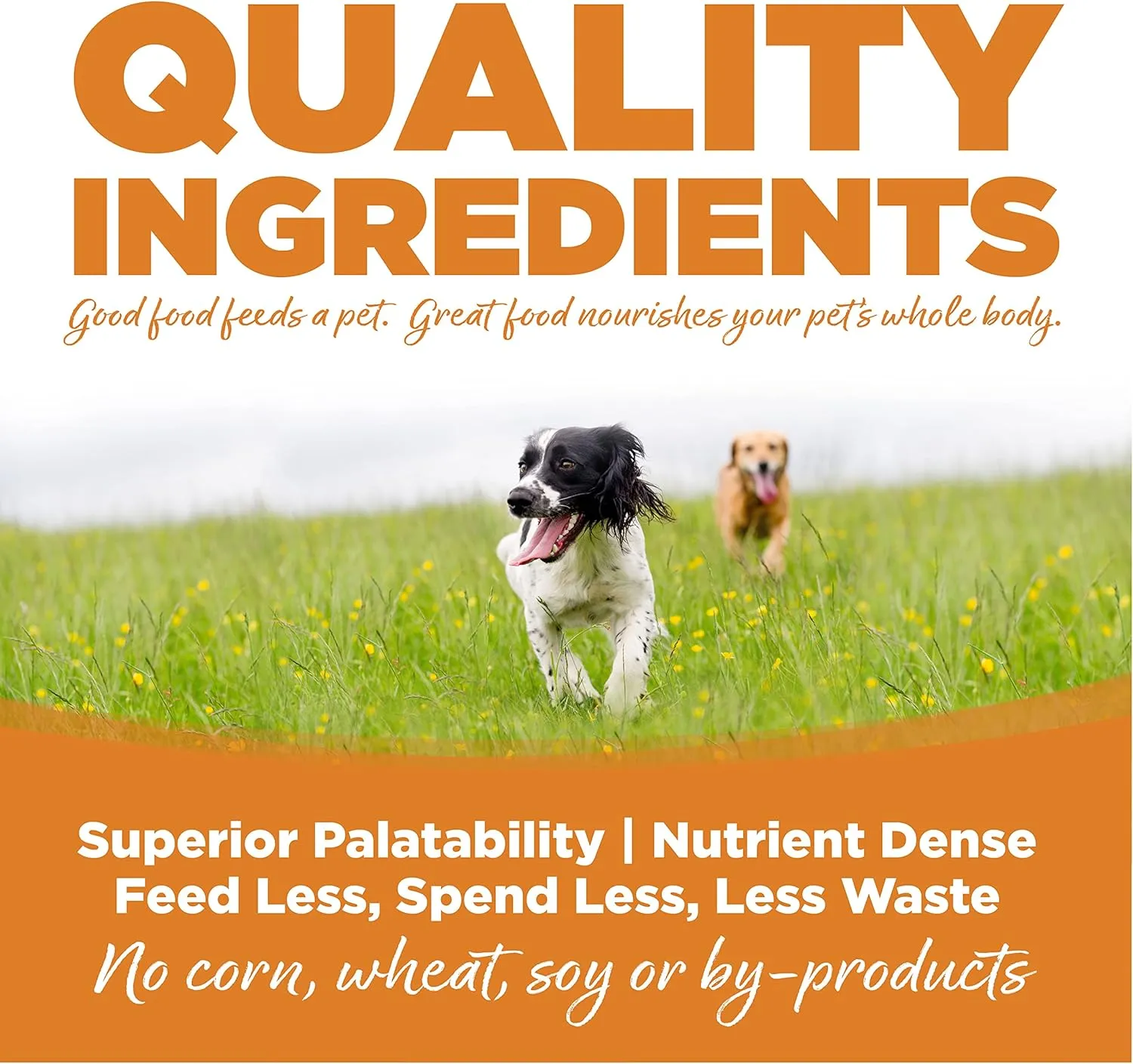 Nutrisource Lamb & Rice Adult Dog Food 5Lb
