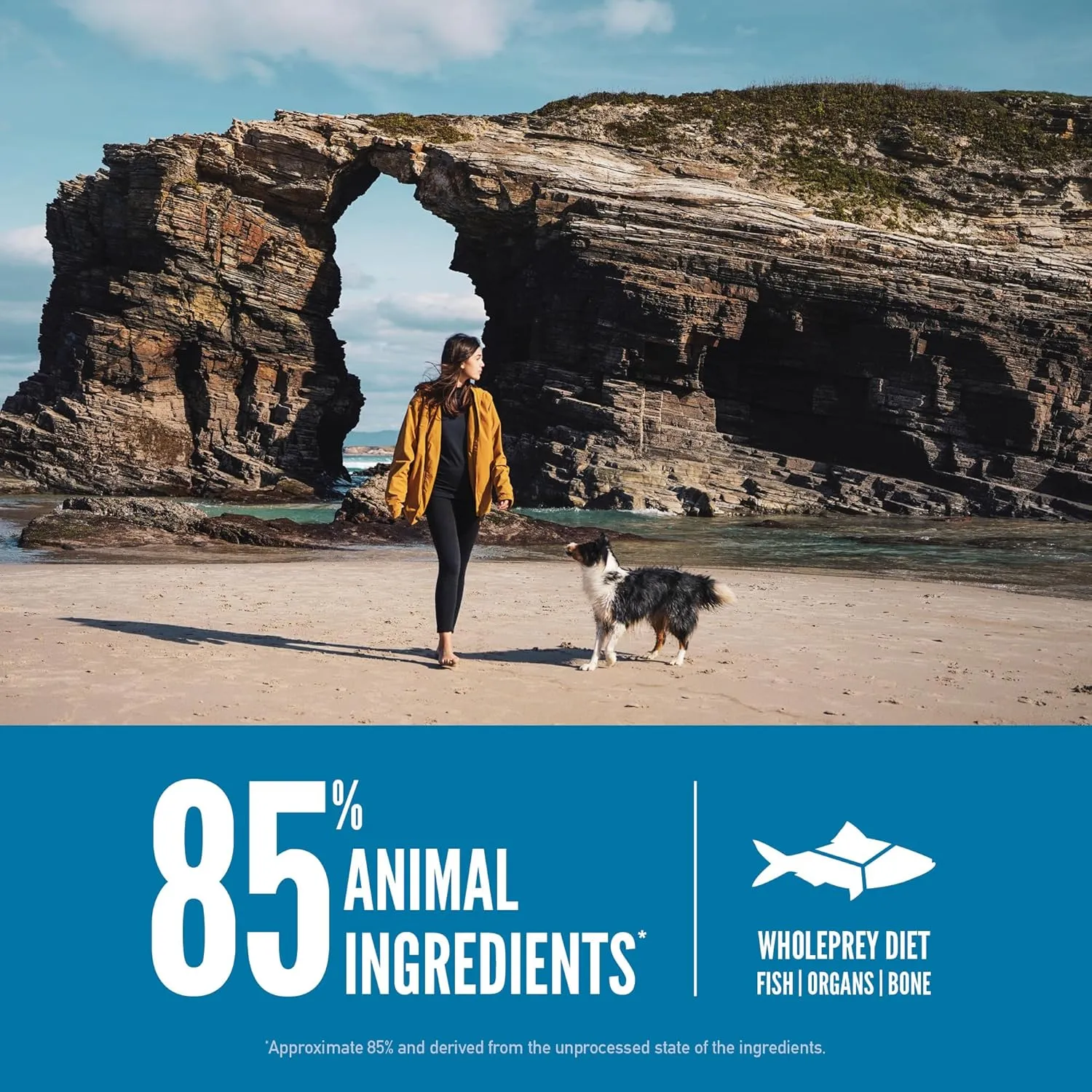 ORIJEN Six Fish Dry Dog Food, Grain Free and Chicken Free Dog Food, Fresh or Raw Ingredients, 23.5lb