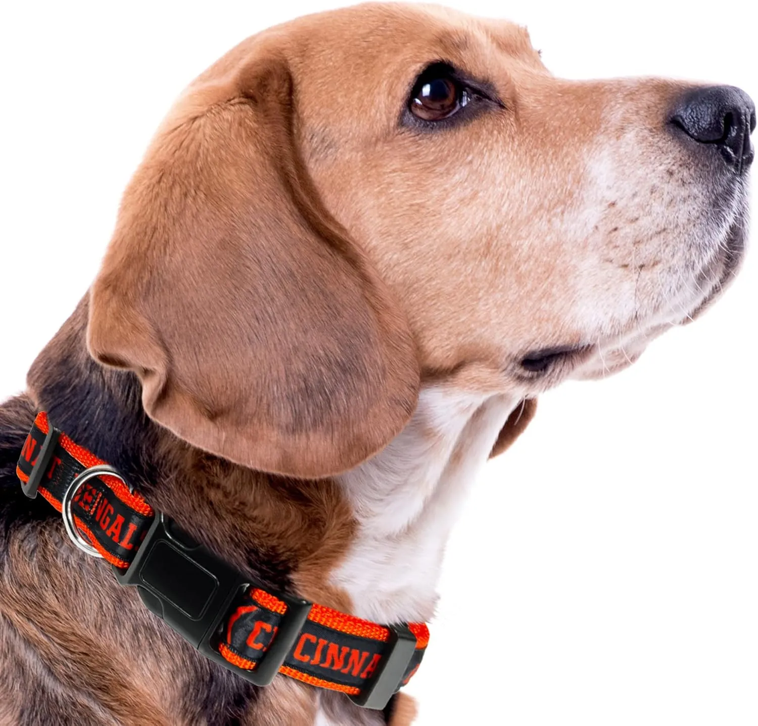 Pets First NFL Cincinnati Bengals Licensed PET COLLAR, Small - Heavy-Duty, Strong, and Durable Dog Collar. Available in 31 Football Teams and 4 Sizes