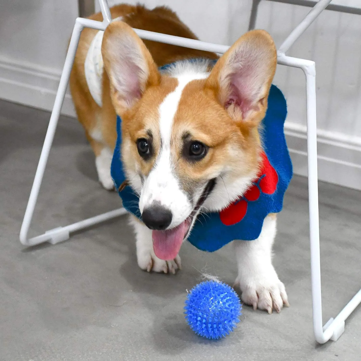 SHARLOVY Squeaky Balls for Pet Small Puppy, TPR Fetch Spike Balls for Dogs, Rubber 6 Pack Bright Colors Chew Teething Dog Toys