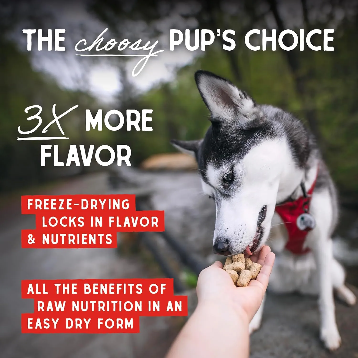 Stella & Chewy's Freeze-Dried Raw Beef Meal Mixers- Dog Food Topper and Mixer - Made with 95% Grass-Fed Beef, Organs & Bone - Perfect for Picky Eaters - Grain-Free - 8 oz