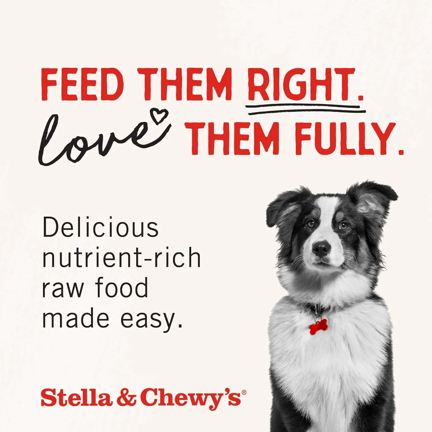 Stella & Chewy's Freeze-Dried Raw Beef Meal Mixers- Dog Food Topper and Mixer - Made with 95% Grass-Fed Beef, Organs & Bone - Perfect for Picky Eaters - Grain-Free - 8 oz